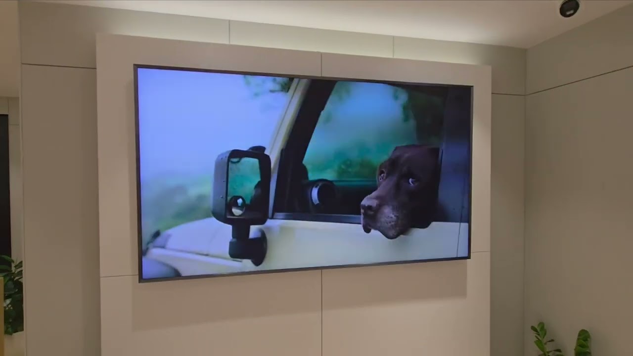 Samsung Qled QN900F vs Samsung s95f    So we opinion oled color dark or great pic quality.