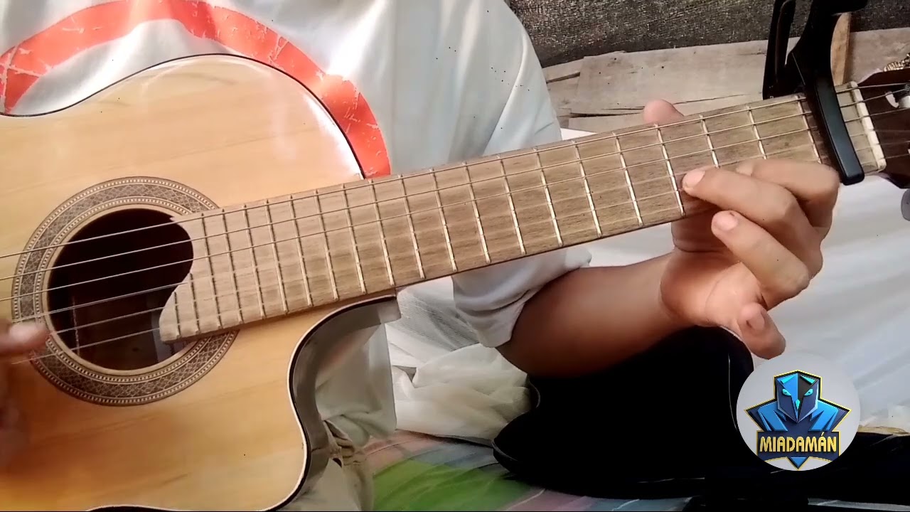 Introducción de la canción sin amor también se vive tutorial