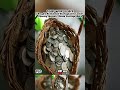 #adventure #treasure #money #storageunit #storagewars #storage #unit