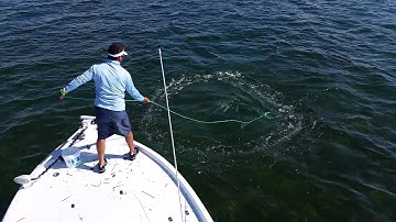 "How To" cast net video - pilchards in Biscayne Bay, Florida | Peter Miller Fishing
