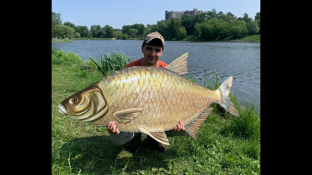 ХЕРАБУНА на фестивале  