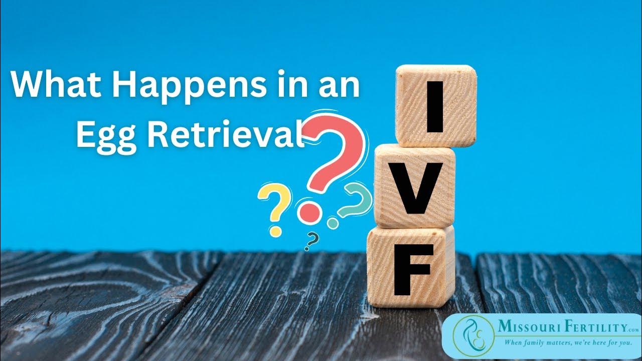 Egg Retrieval Procedure for IVF YouTube