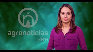 AGRONOTICIAS 7 PROGRAMA 4
