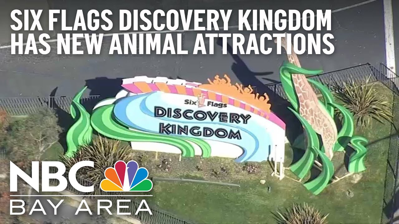Six Flags Vallejo Animal Show Schedule