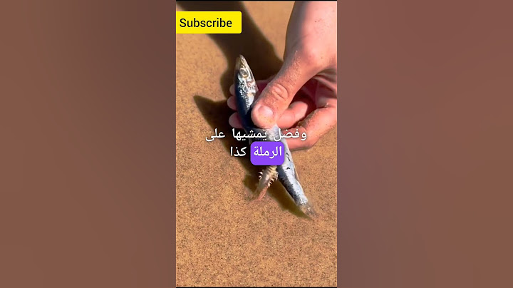 كائن غريب في البحر 🫡😨 #اكسبلور #ترند #معلومات #حقائق