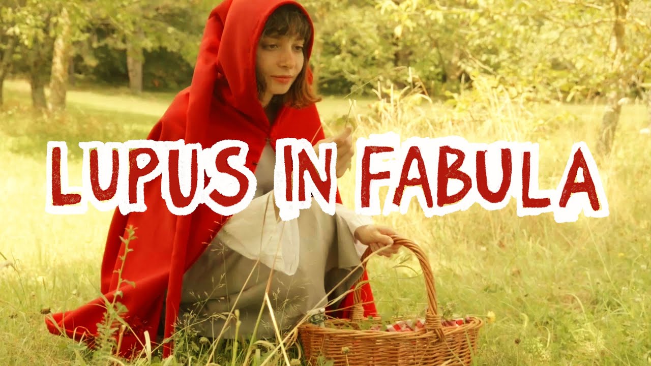 2024 22067 LUPUS IN FABULA