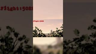 4 Passenger Jet Aircraft Crashes Flights 5022 548 232 1713 #animation #airplanecrash #shorts