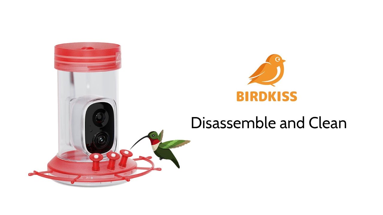 How to disassemble and clean hummingbird feeder with camera - YouTube