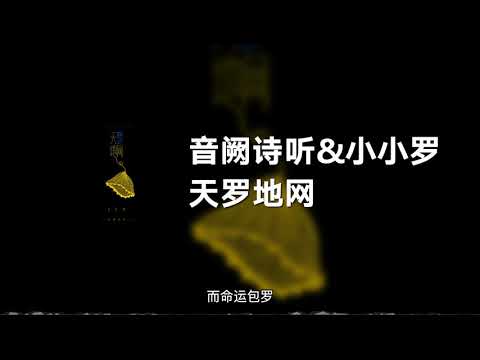 音阙诗听&小小罗 - 天罗地网 (动态歌词)
