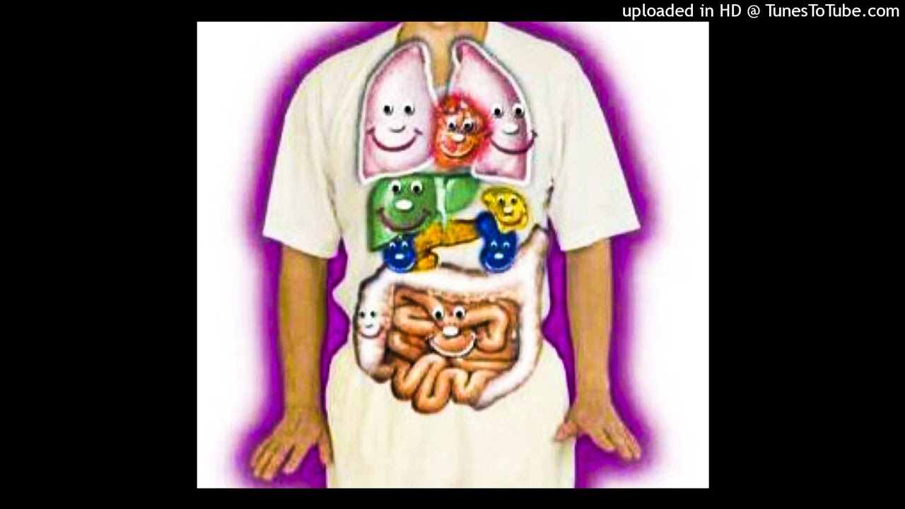 [FREE] HARD TECHNO x WEIRDCORE RAVE TYPE BEAT - "organs" (prod. plucksunset)