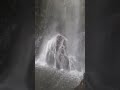 Majestic lepcha waterfall #waterfall#river#riverside#sittong#nature#thriller#love#travel#gold#beauty