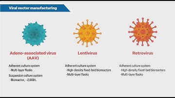[Takara Bio] Viral vector manufacturing