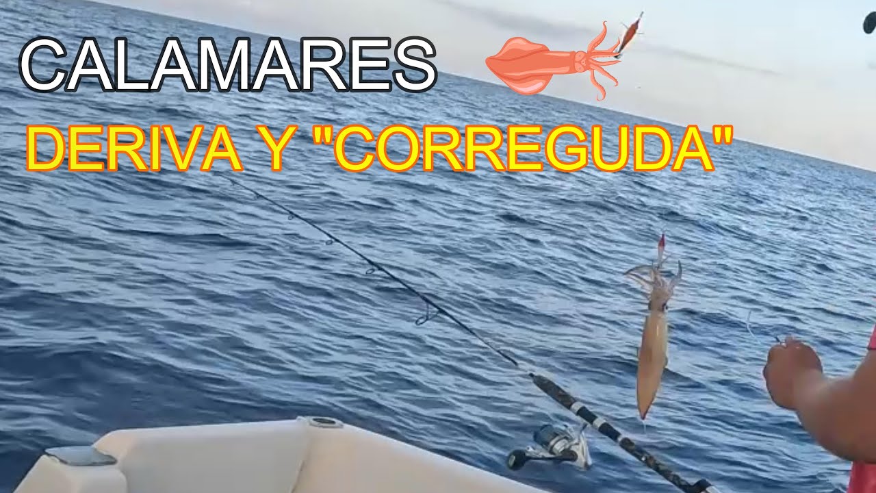 CALAMARES DERIVA Y CORREGUDA
