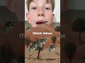 meuw meuw#memes#edit#funny#cat#dog