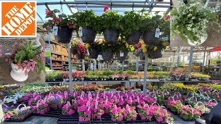 Download Lagu 🌺 HOME DEPOT ( VERBENA LEMON CORAL SEDUM BLUEBERRY TREE SPEEDWELL IVY CREEPING JENNY) MP3