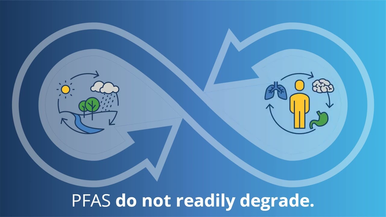 What are PFAS?