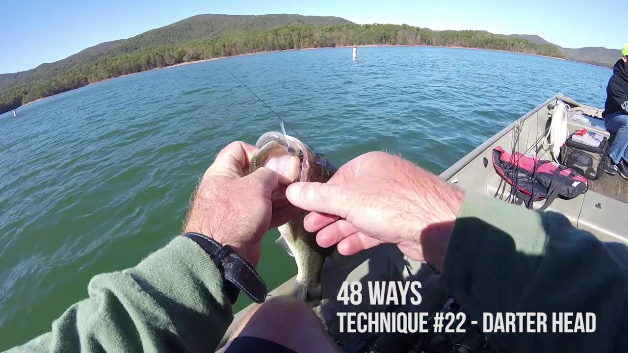 48 Ways #22 - Darter Head