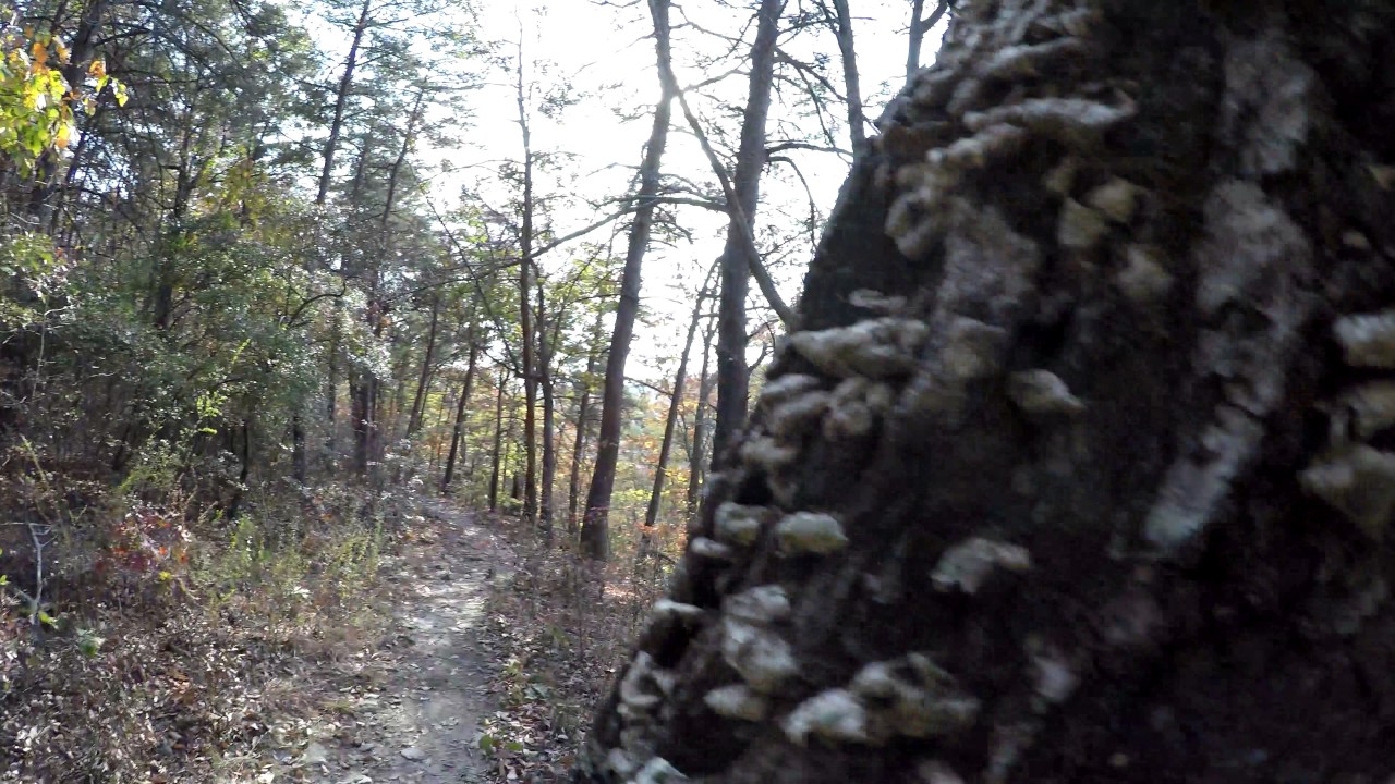 GoPro Karma Grip Wilderness Footage