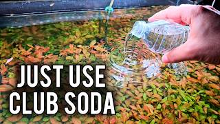 Do This NOW to Save Your Aquarium From Crashing