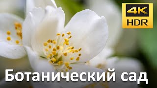 Главный ботанический сад (Москва) 1часть.