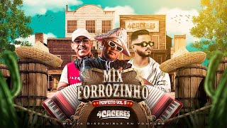 Mix Forrozinho Perfeito Vol.5 | DJ Caceres | Vaqueiro Atualizado, Negro Gato, Piseiro Bom