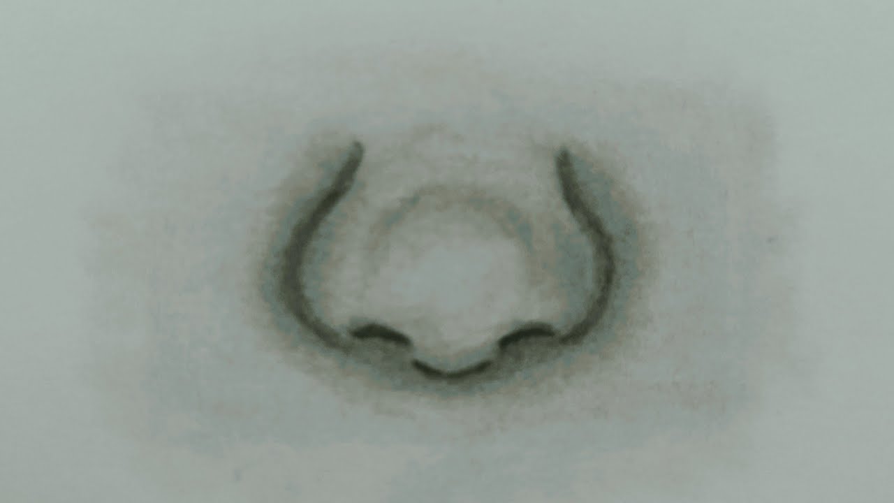 How to Draw a Realistic Nose with Pencil | Step-by-Step Easy Tutorial