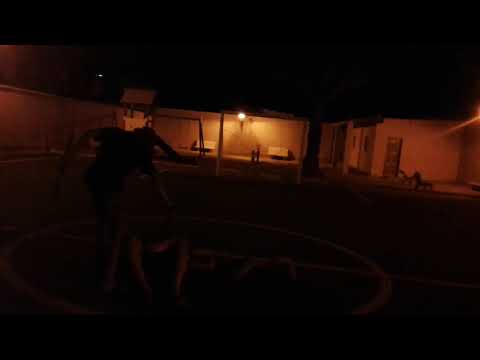 هجوم زومبي على جزائر 2 فيديو كليب حصري هههه تكمل فيديو سابق