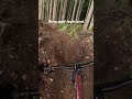 This trail is such a good mix of flow and tech!