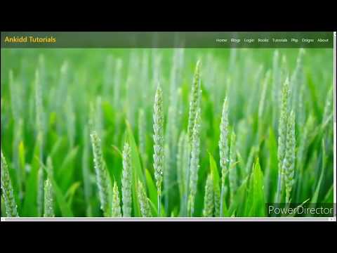 zoom  parallax || page  ||# jQuery || Part-3#2020