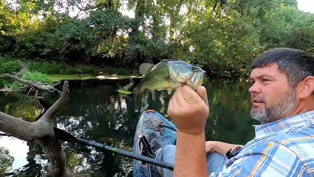 Exploring More Creek For Bass Fishing  #fishing #largemouth #bass