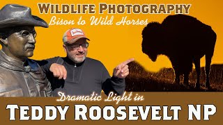 CREATIVE Wildlife Photography in Teddy Roosevelt NP Dramatic Light October