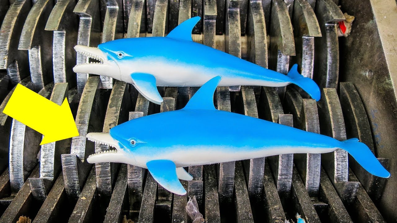 Shredding Plastic Dolphins and Sharks!  Must Watch!