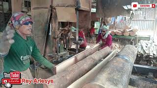 Kayu Keruing Dan Nyato/High and expensive wood prices #sawmill @rayariesya