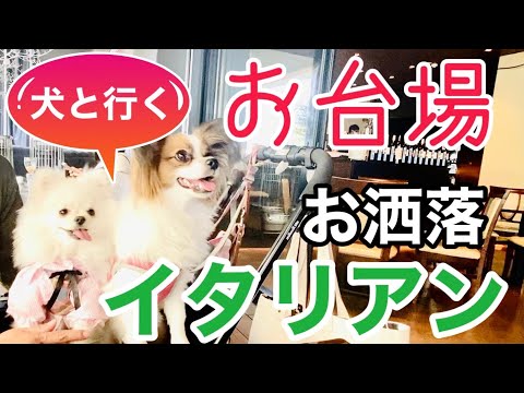 犬と行くお台場vol.4【カレス】2021年隠れ家イタリアン♪お台場には、ワンちゃんと行けるお店がまだまだあります💛