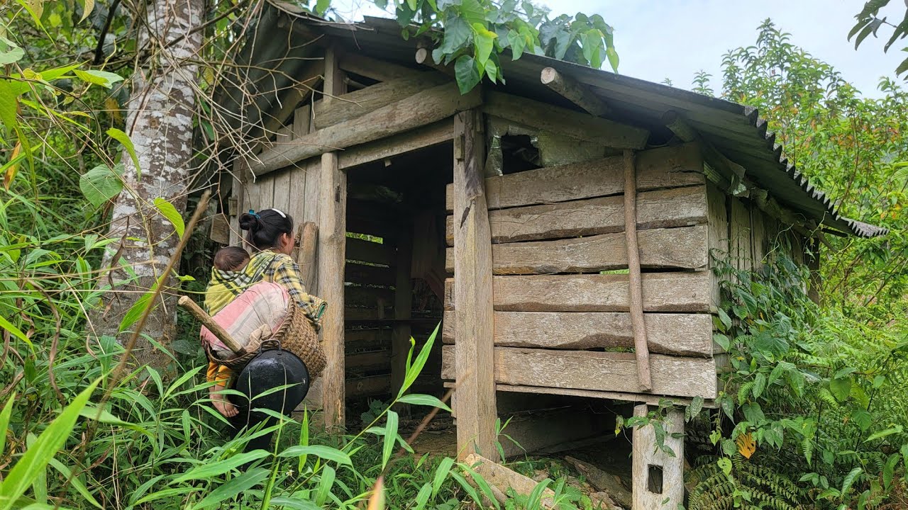16-year-old single mother finds old house in the woods, cleans it up for temporary stay