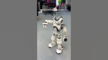 NAO Choregraphe Software Test #robotics #dancing #creativerobotics