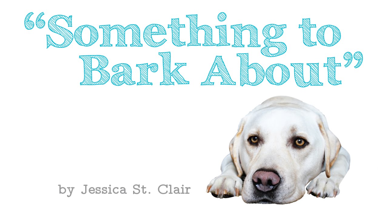 Something To Bark About By Jessica St Clair YouTube Something to bark about by jessica st clair youtube