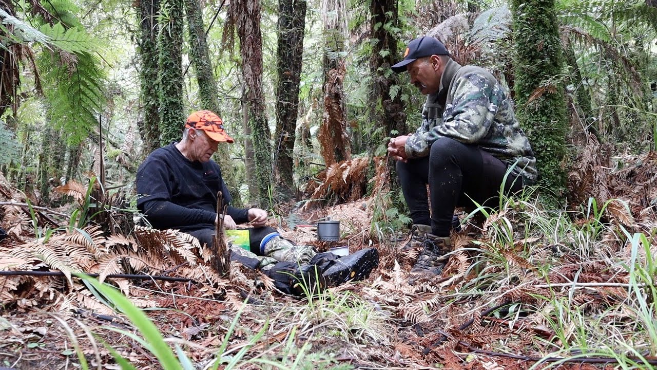 Tent & Tarp Bush Camping New Zealand (part2) YouTube