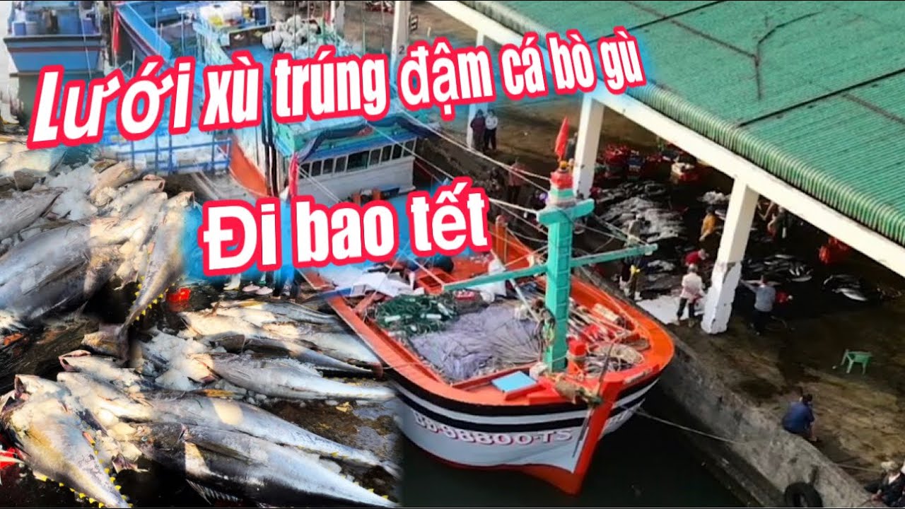 Плавающие рыболовные сети пользуются большой популярностью во время Тета (вьетнамского Нового год...