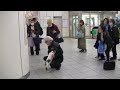 素晴らしきお迎え＃ねこ