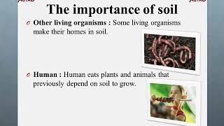 Soil Components -Science - Grade 5