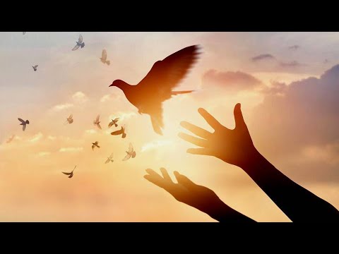 خ لقت طليقا ماجدة الرومي شعر أبو القاسم الشابي لحن حليم الرومي