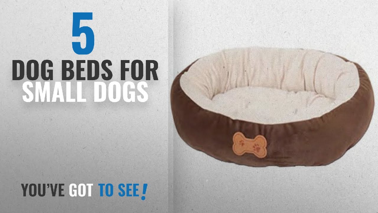 Top 5 Dog Beds For Small Dogs [2018 Best Sellers] Aspen Pet Oval