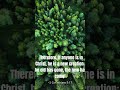New Creation #JesusHeals #MorningWithGod”Hashtags: #Christian #FaithReels #BibleVerse #JesusLovesYou