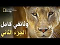 الحياة البرية مملكة الأسود صراع البقاء سيرينغيتي وثائقي كامل الجزء الثاني 