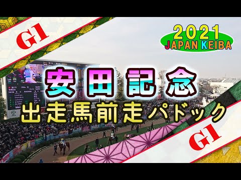 【競馬パドック】安田記念・前走パドック（2021年）