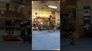 2017041301 toellgym.com