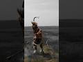 Nativeamerican Indigenous Sioux Cree Navajo Culture Jingledress Dancing Powwow Viral