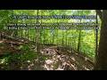 Walk the West Don and Taylor Creek Trails | East Toronto