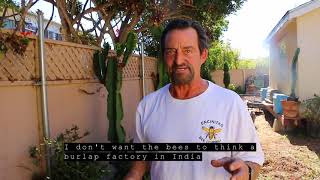 Chemical-Free Bee Removals | The Encinitas Bee Company